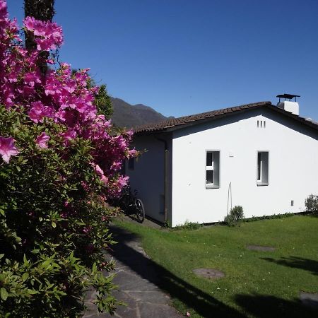 Residenza Paradiso Di Vacanze Minusio Екстериор снимка