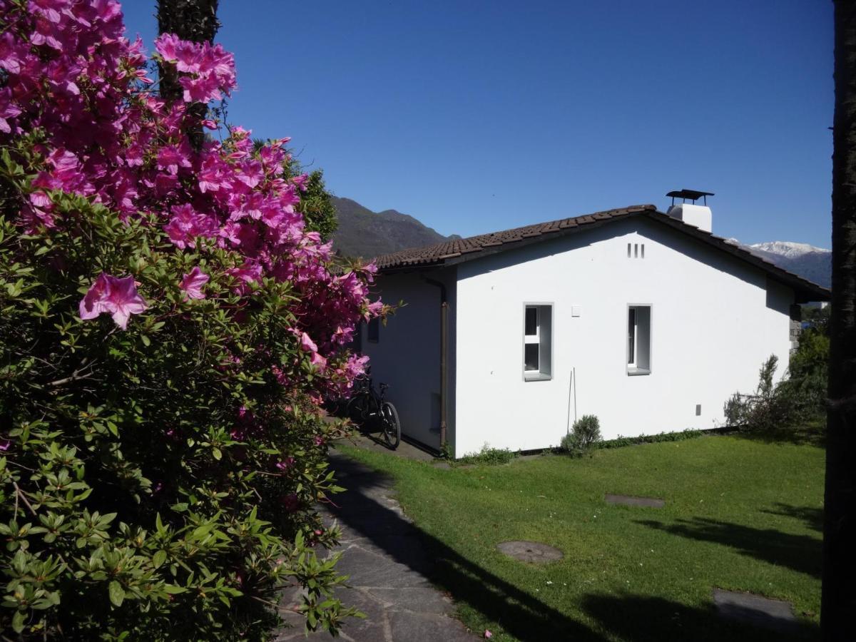 Residenza Paradiso Di Vacanze Minusio Екстериор снимка