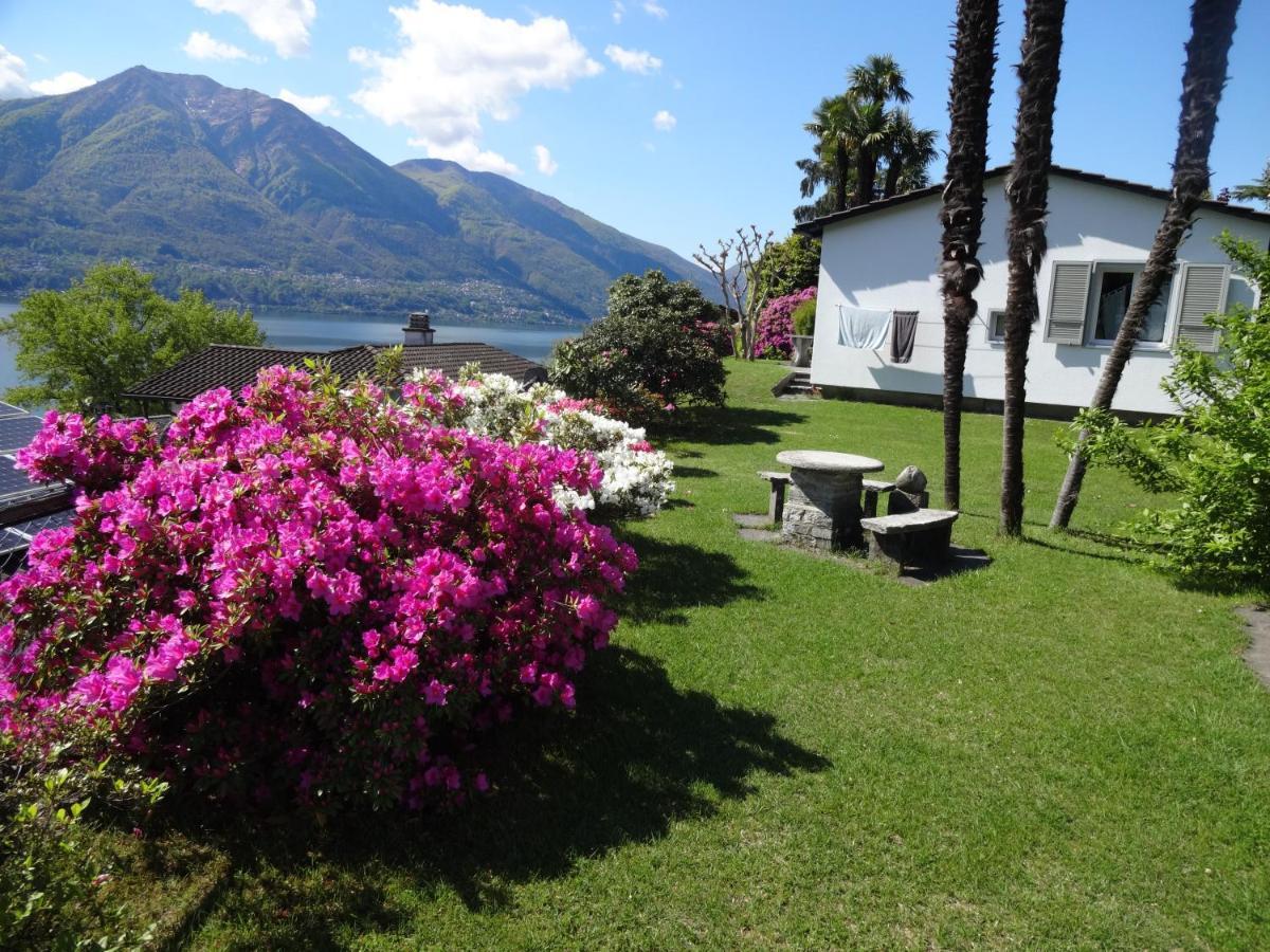 Residenza Paradiso Di Vacanze Minusio Екстериор снимка