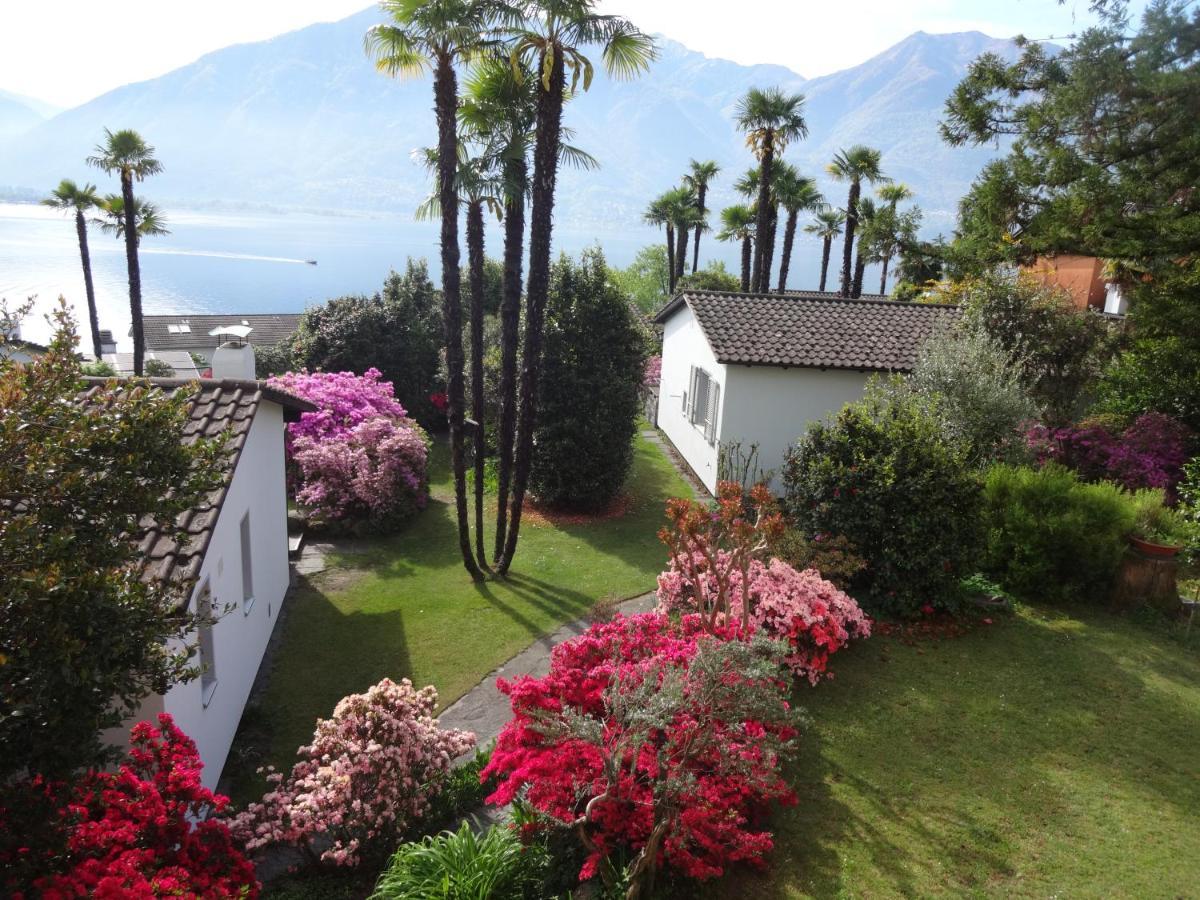 Residenza Paradiso Di Vacanze Minusio Екстериор снимка