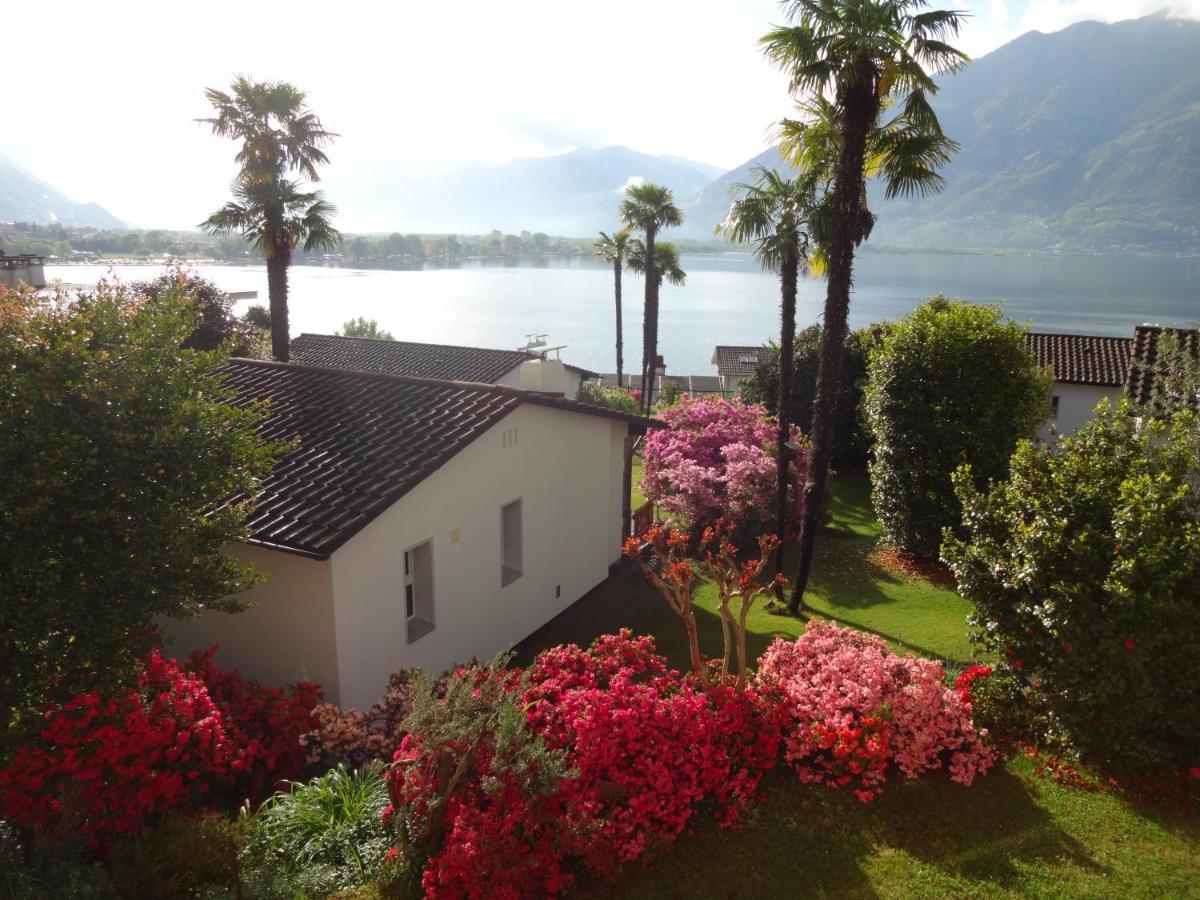 Residenza Paradiso Di Vacanze Minusio Екстериор снимка