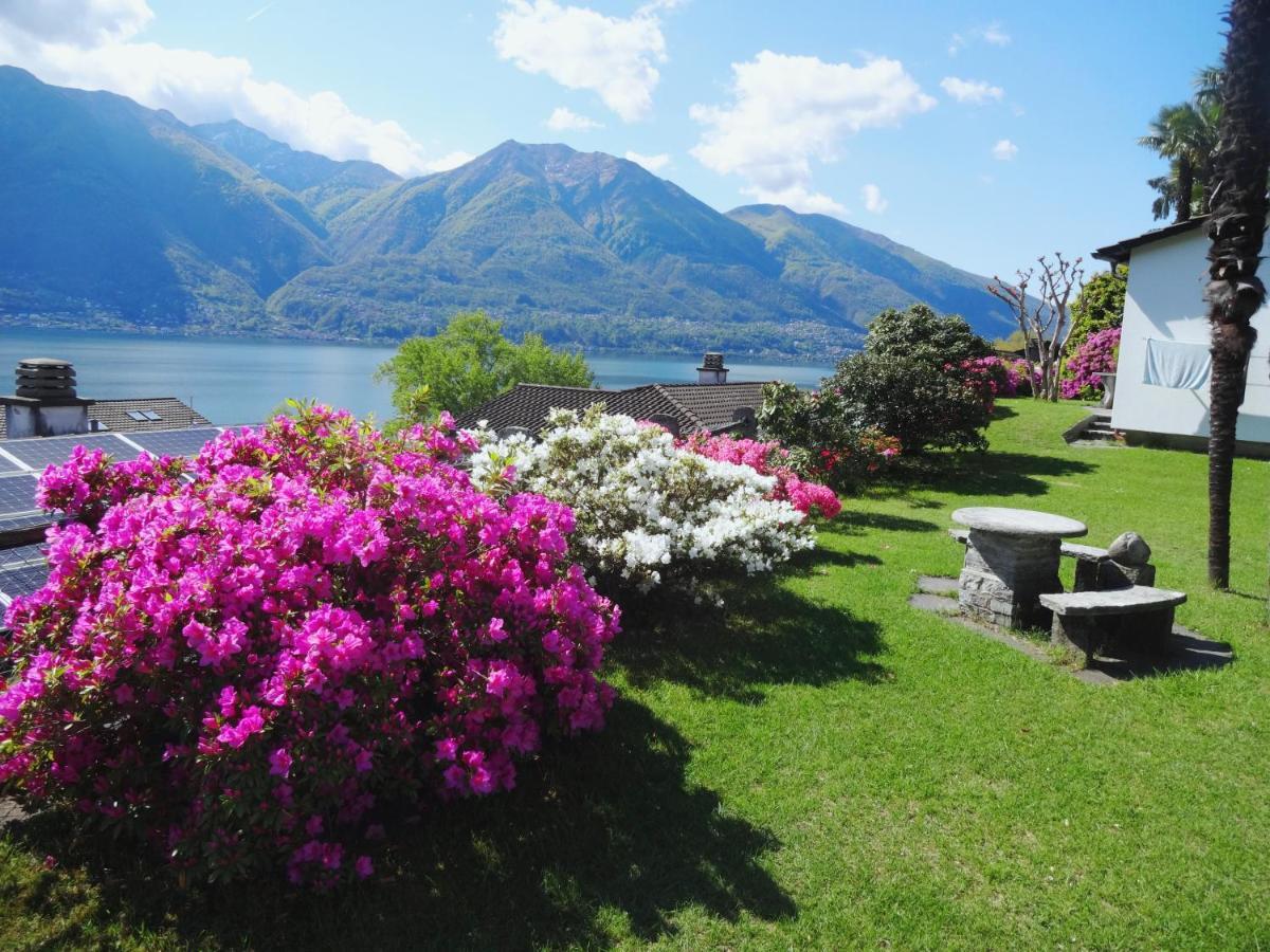 Residenza Paradiso Di Vacanze Minusio Екстериор снимка